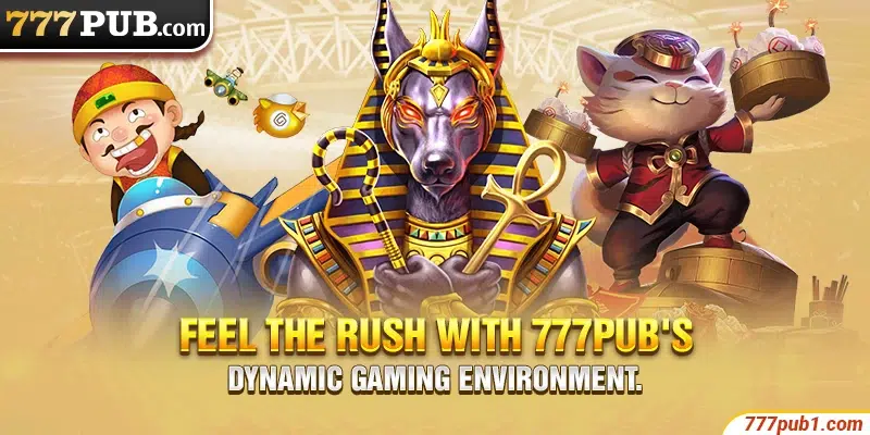 Feel the rush with 777pub's dynamic gaming environment.