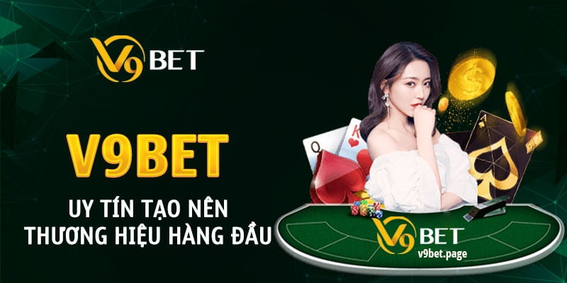 Overview of V9bet